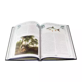 Подарочный набор "Окунёвый" с книгой "Большая книга русской рыбалки" и фигурки окуня